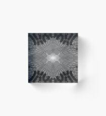 undergrowth Acrylic Block