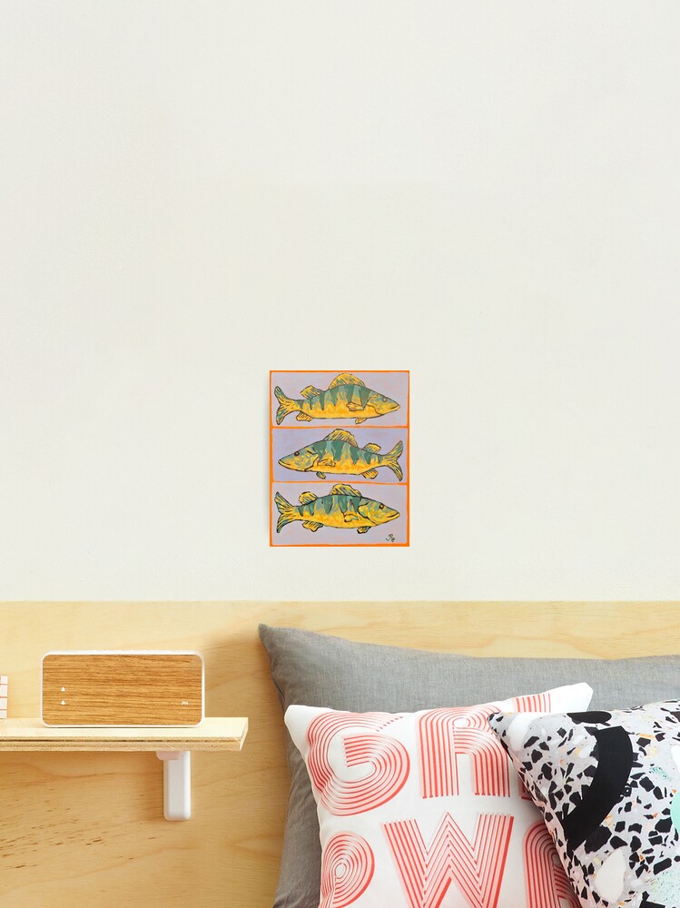 Thumbnail 2 of 3, Photographic Print, Perch Fish designed and sold by RudyYoder.
