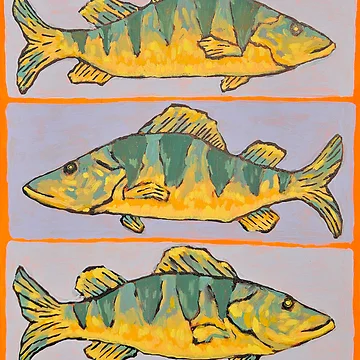 Artwork thumbnail, Perch Fish by RudyYoder