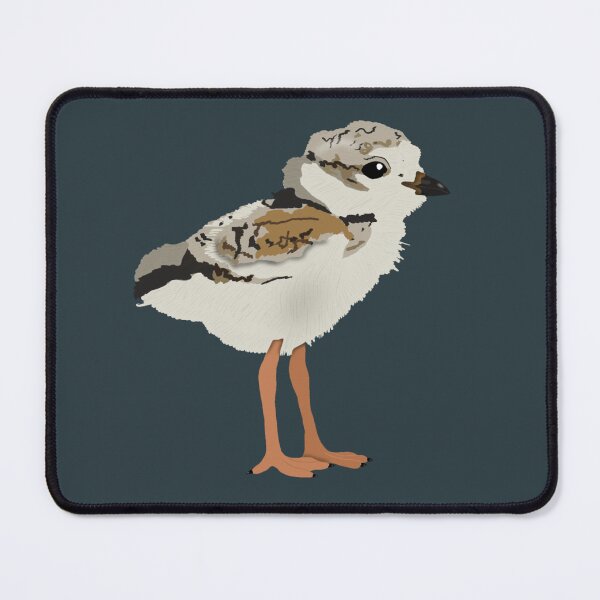 Item preview, Piping Plover Chick designed and sold by BDBirds.