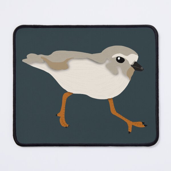 Item preview, Juvenile Piping Plover designed and sold by BDBirds.