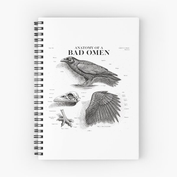 Item preview, Anatomy Of A Bad Omen — Raven Skull Wing Vintage Naturalist Plate designed and sold by Uglyandcute.