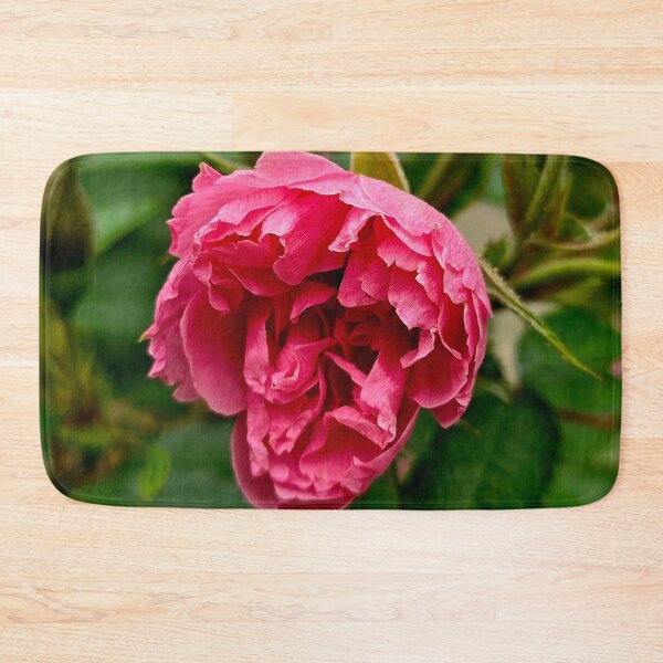 Item preview, Pink Rose Bloom and Buds Nature Photo designed and sold by NikaNavi.