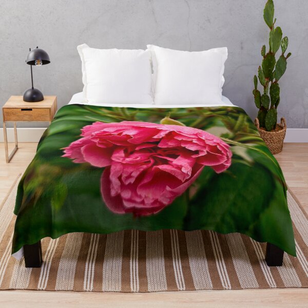 Item preview, Pink Rose Bloom and Buds Nature Photo designed and sold by NikaNavi.