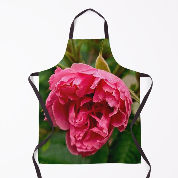 Item preview, Pink Rose Bloom and Buds Nature Photo designed and sold by NikaNavi.