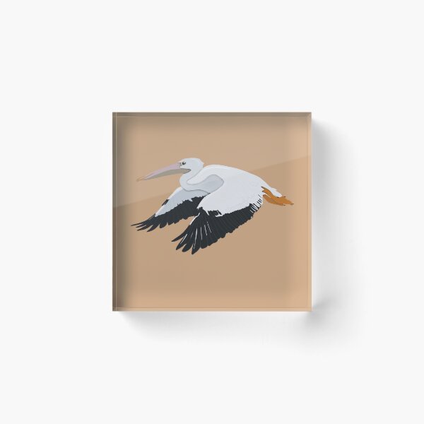 Item preview, American White Pelican  designed and sold by BDBirds.