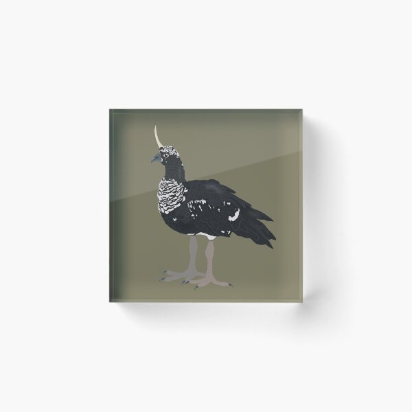 Item preview, Horned Screamer designed and sold by BDBirds.