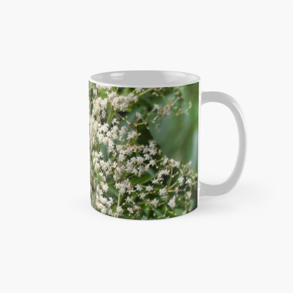 Item preview, White Elderflower Clusters Photo designed and sold by NikaNavi.