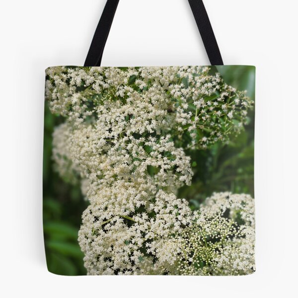 Item preview, White Elderflower Clusters Photo designed and sold by NikaNavi.