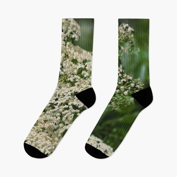 Item preview, White Elderflower Clusters Photo designed and sold by NikaNavi.