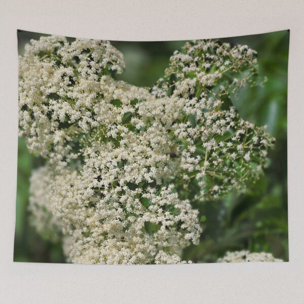 Item preview, White Elderflower Clusters Photo designed and sold by NikaNavi.