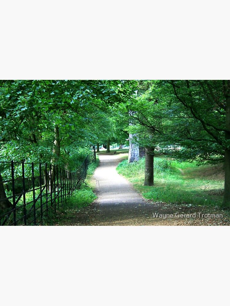 A Path Through The Green by redmoondragon