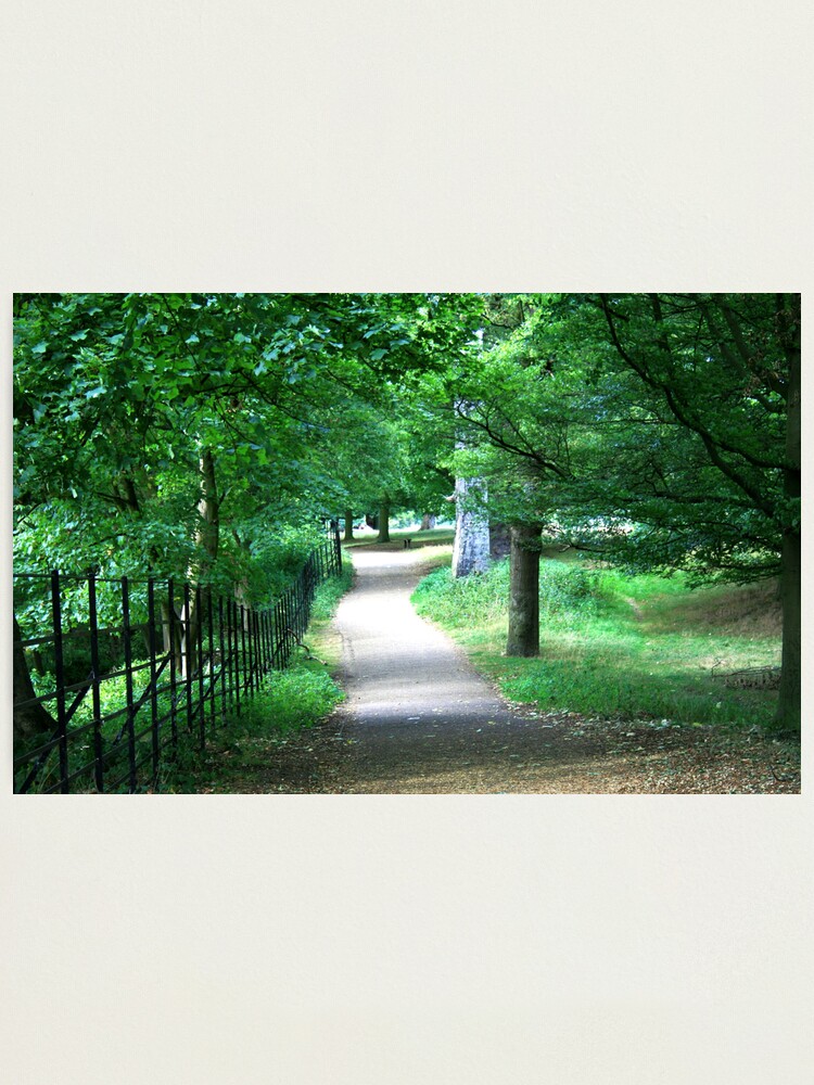 Alternate view of A Path Through The Green Photographic Print