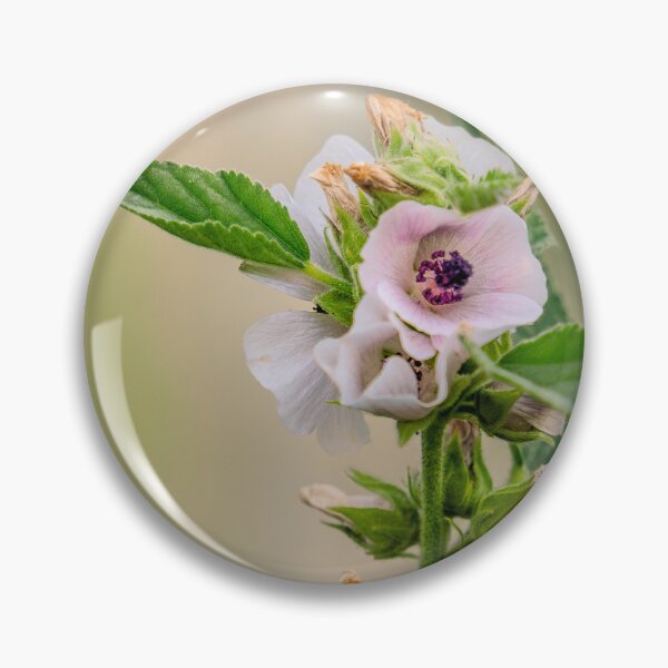 Item preview, Pink Mallow-Type Flower Close-Up designed and sold by Rabee Khalil Photography.