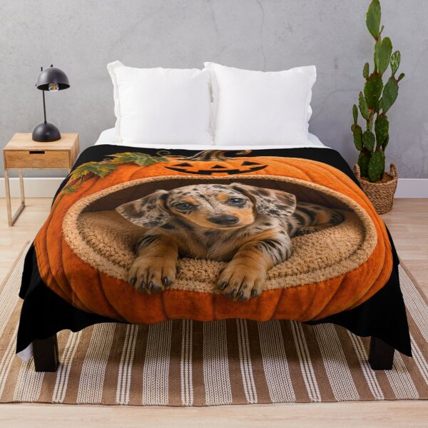 Item preview, Dapple Dachshund Halloween Pumpkin Dog – Cute Dachshund in Jack O Lantern Bed designed and sold by ManJiangHong.