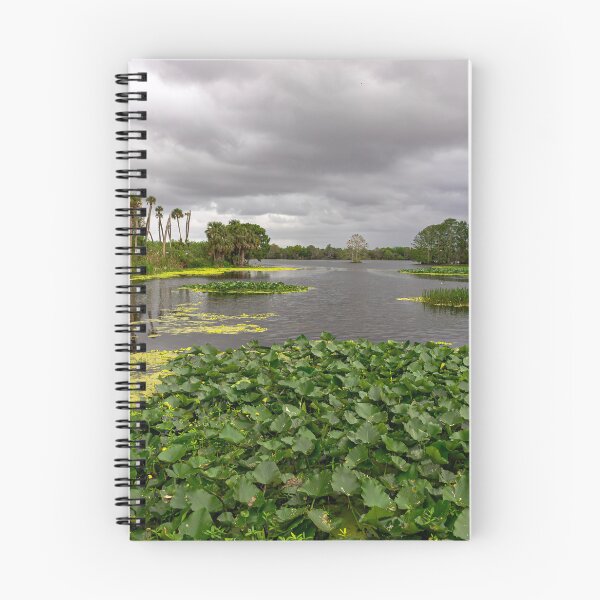Item preview, Wetlands designed and sold by Alla Gill.