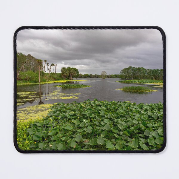Item preview, Wetlands designed and sold by Alla Gill.