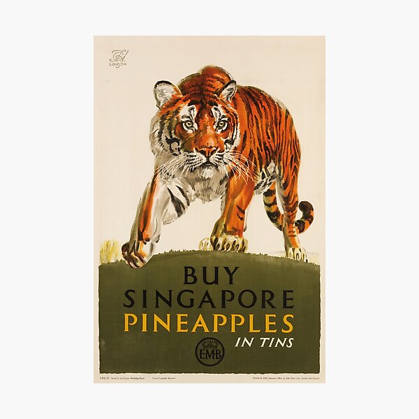 Buy Singapore Pineapples Advert Photographic Print
