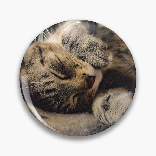 Item preview, Cat cuddles  designed and sold by josieqbg.