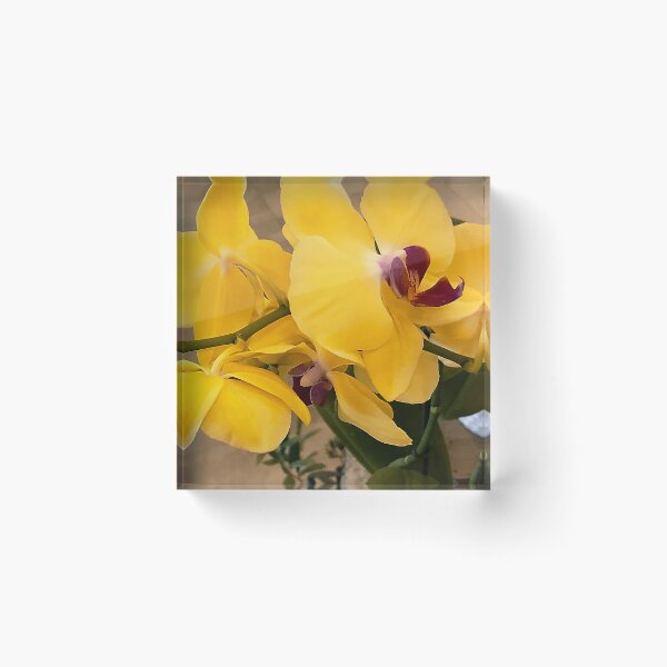 Item preview, Lemon-Yellow Orchids Exquisite Floral Close-Up designed and sold by DEC02.