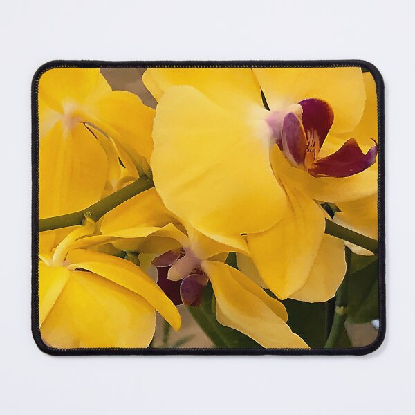 Item preview, Lemon-Yellow Orchids Exquisite Floral Close-Up designed and sold by DEC02.