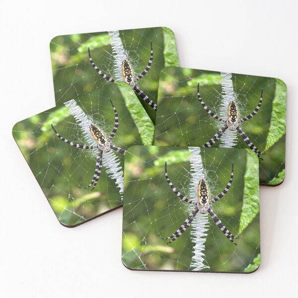 Item preview, Yellow garden spider designed and sold by Astute-Artio-Photography.