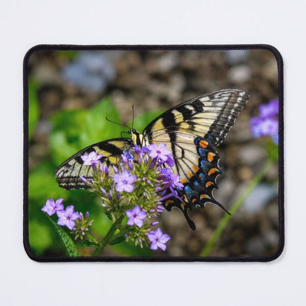 Item preview, Tiger Swallowtail butterfly on purple flowers designed and sold by Astute-Artio-Photography.