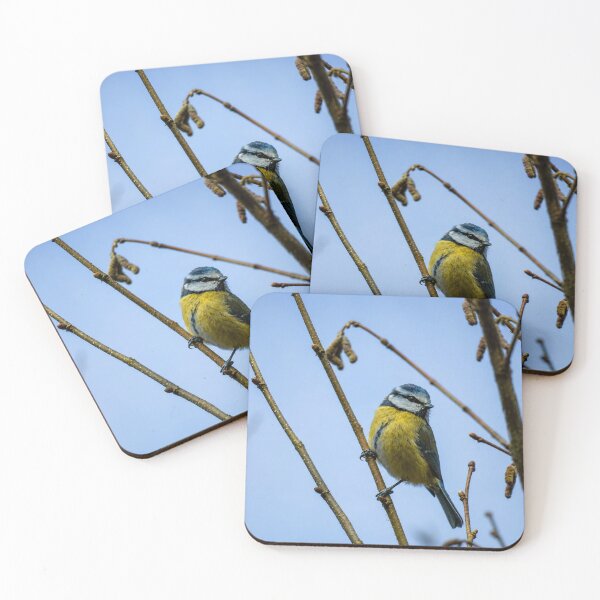 Item preview, Vibrant Blue tit designed and sold by Astute-Artio-Photography.
