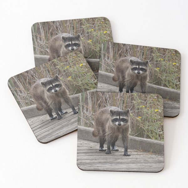 Item preview, The wandering raccoon designed and sold by Anthony Brewer.