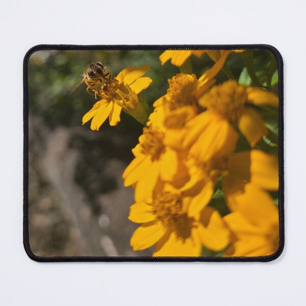 Item preview, A bee with choices designed and sold by SittingWithBees.