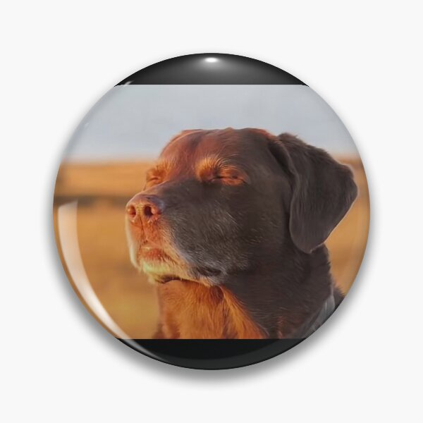 Item preview, Tiktok Meme Sticker Dog designed and sold by jadexjournal.