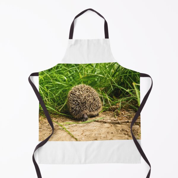 Item preview, Spiky Hedgehog cutting through grass designed and sold by Astute-Artio-Photography.