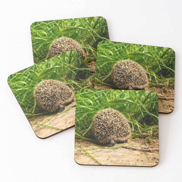 Item preview, Spiky Hedgehog cutting through grass designed and sold by Astute-Artio-Photography.