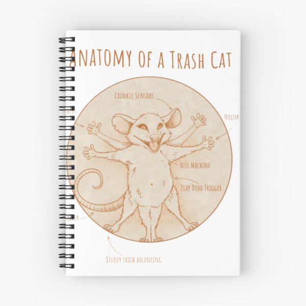 Item preview, Anatomy Of A Trash Cat Opossum designed and sold by Sadeetfel.
