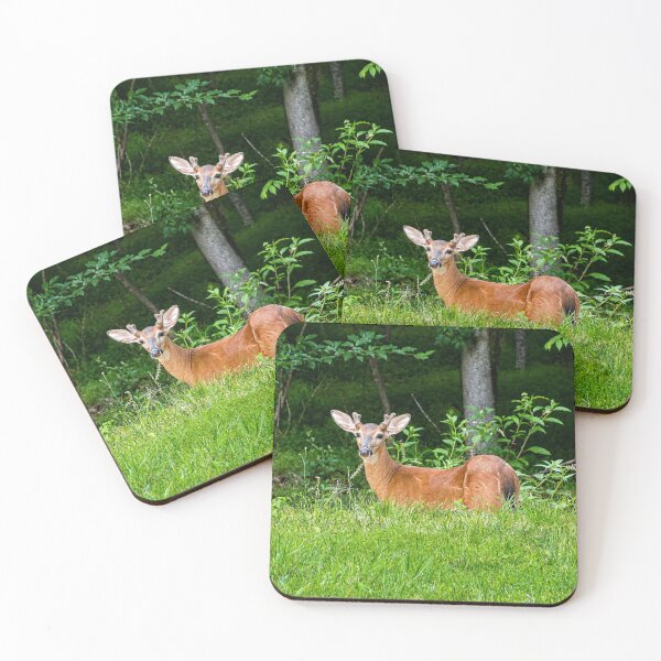 Item preview, Curious deer in lush woodland designed and sold by Astute-Artio-Photography.