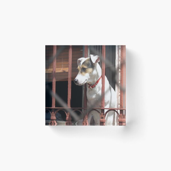 Item preview, Watch Dog designed and sold by Ethna Gillespie.