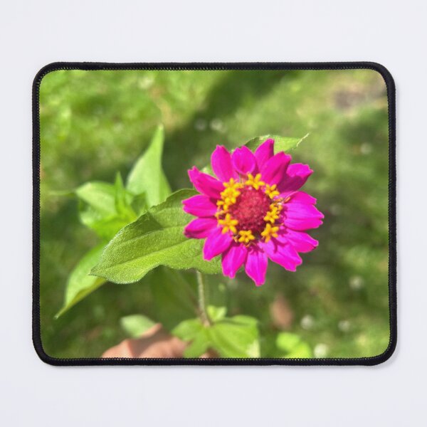 Item preview, Photograph of zinnia flower @riseupdesignsart designed and sold by RiseUpDesignsArt.