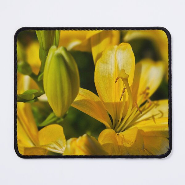 Item preview, Yellow Daylily Photo 2 designed and sold by NikaNavi.