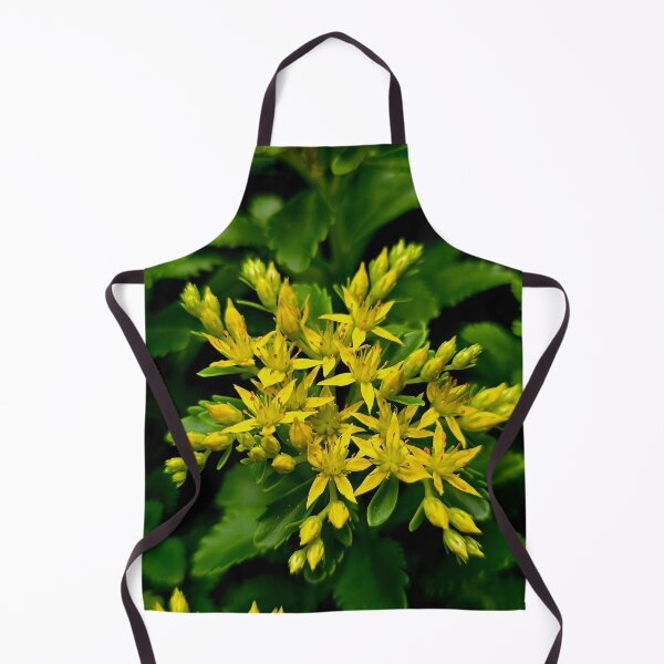 Item preview, Yellow Stonecrop Sedum Photo designed and sold by NikaNavi.
