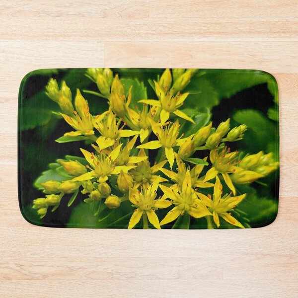 Item preview, Yellow Stonecrop Sedum Photo designed and sold by NikaNavi.