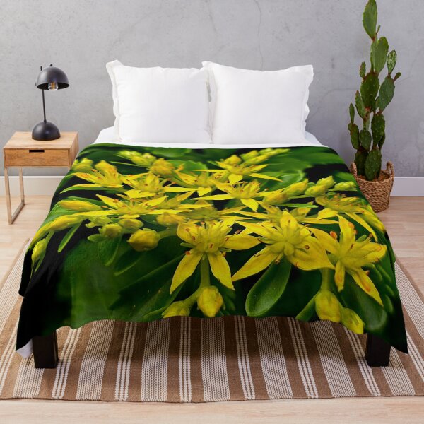 Item preview, Yellow Stonecrop Sedum Photo designed and sold by NikaNavi.