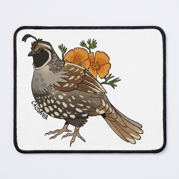 Item preview, California State Bird and Flower designed and sold by riahdrawsthings.