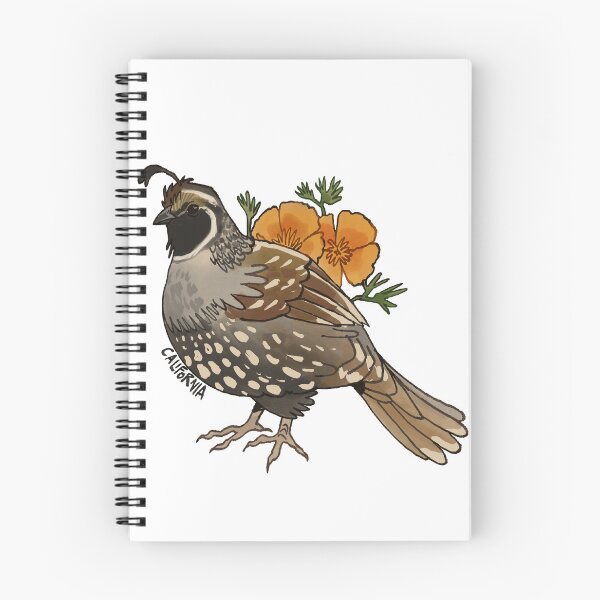 Item preview, California State Bird and Flower designed and sold by riahdrawsthings.