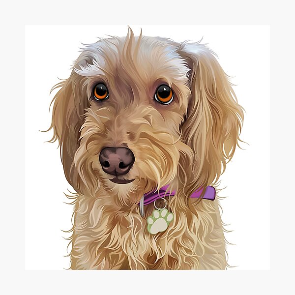 Item preview, Cute Goldendoodle Dog Vector Illustration designed and sold by onebystudio.