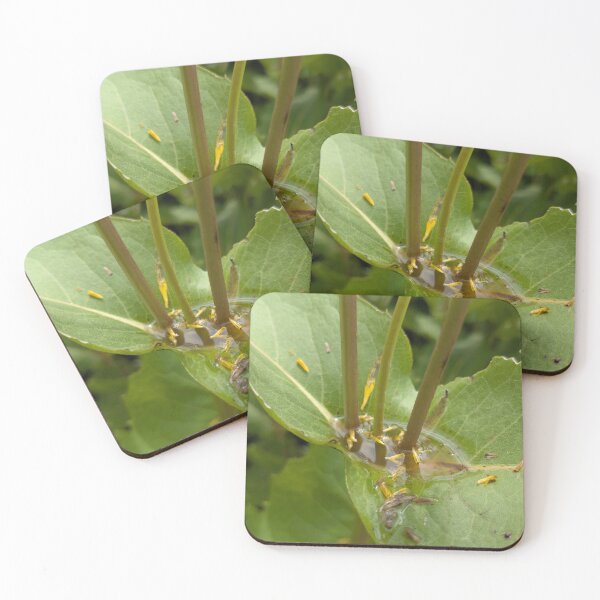 Item preview, A Pocket Full of Rain designed and sold by Jkund19.