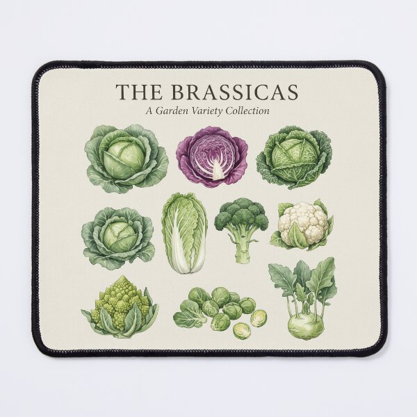 Item preview, Kitchen Garden • The Brassica Family • Growers and Gardeners designed and sold by Applecrunch.