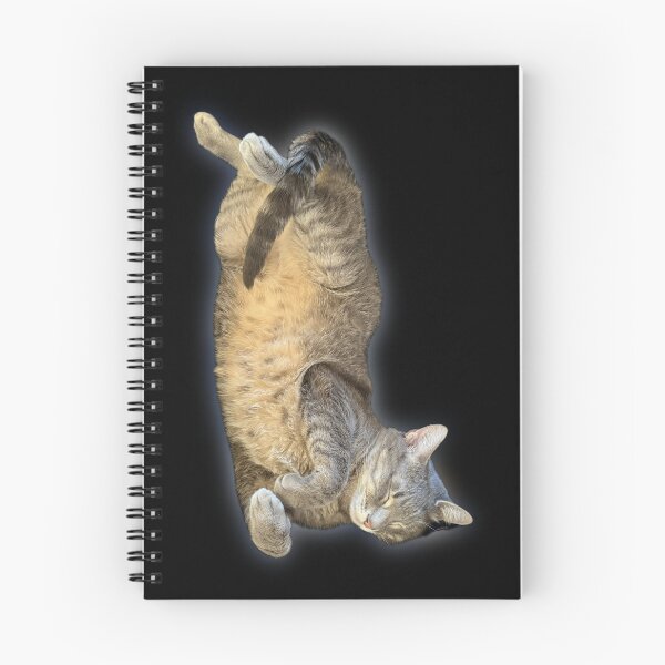 Item preview, Funny Sleeping Tabby Cat in Weird Position | Cat Lover Humor designed and sold by aadventures.