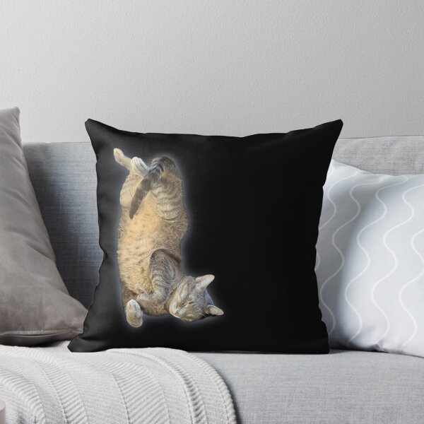 Item preview, Funny Sleeping Tabby Cat in Weird Position | Cat Lover Humor designed and sold by aadventures.