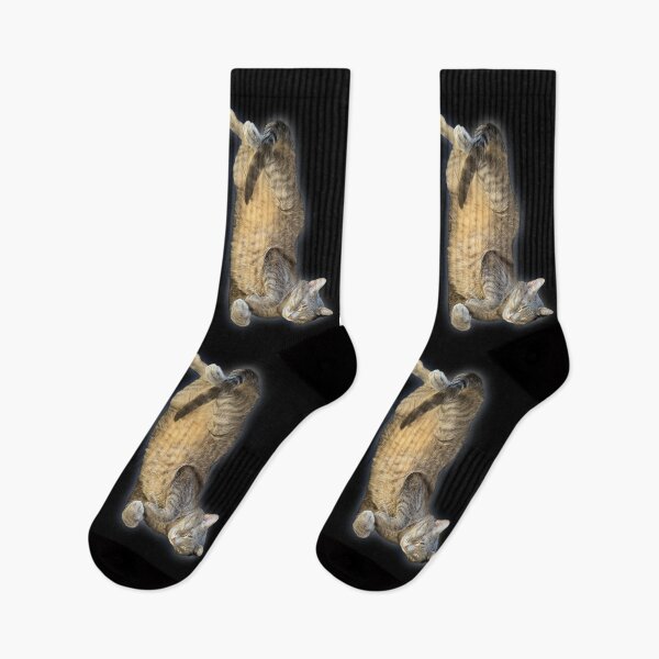 Item preview, Funny Sleeping Tabby Cat in Weird Position | Cat Lover Humor designed and sold by aadventures.