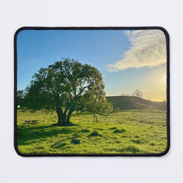 Item preview, Old Oak Tree - Crane Creek designed and sold by Tammy's Handmade Gifts.